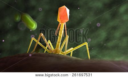 3d rendered medically accurate illustration of a bacteriophage on a bacteria