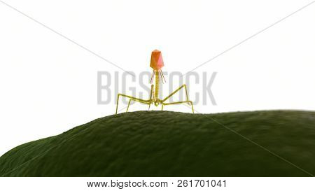 3d rendered medically accurate illustration of a bacteriophage on a bacteria