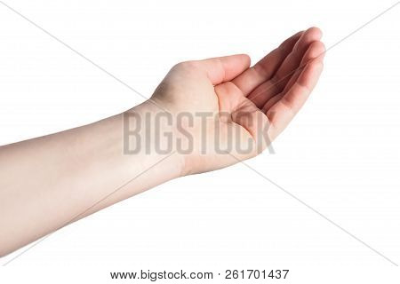 Opened A Woman's Hand, Palm Up Isolated On White Background