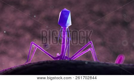 3d rendered medically accurate illustration of a bacteriophage on a bacteria