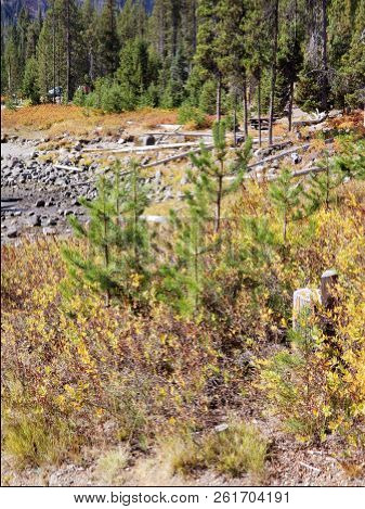 Foliage In Vibrant Fall Colors Of Red And Yellow Along The Shores Of Elk Lake In The Cacade Mountain