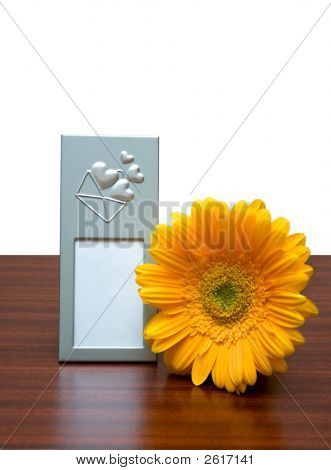 Fotoramme og blomst