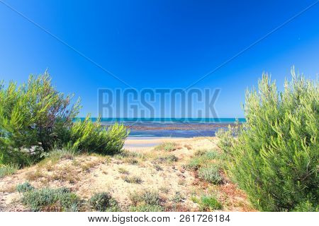 Ile de Re - Beach cart at La Couarde sur mer