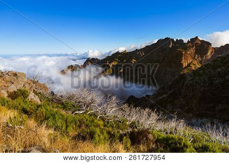 Hiking Pico Ruivo and Pico do Arierio - Madeira Portugal - travel background