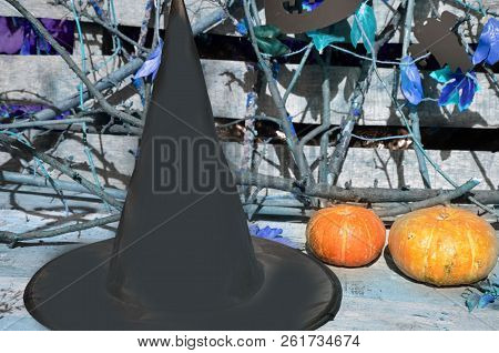 Hat Of Witch On With A Pumpkin For Halloween