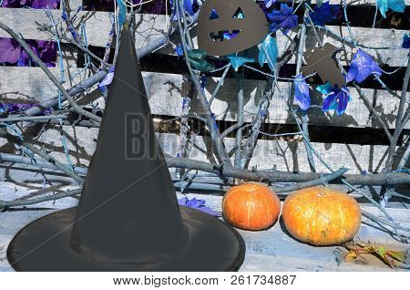 Hat Of Witch On With A Pumpkin For Halloween