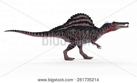 3d rendered illustration of a spinosaurus