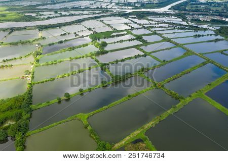 Fish hatchery pond