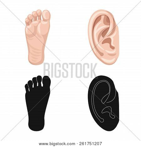 Vector Illustration Of Human And Part Symbol. Collection Of Human And Woman Stock Vector Illustratio