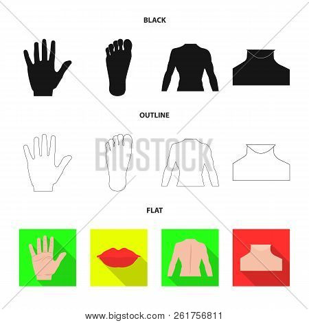 Vector Design Of Human And Part Symbol. Collection Of Human And Woman Vector Icon For Stock.