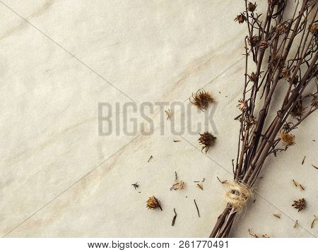 Close-up Bouquet Of Four Dried And Wilted Gypsophila Flowers On Matt Marble Background With Copy Spa