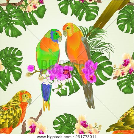Seamless Texture Sun Conure Parrots Tropical Exotic Birds   With Beautiful  Orchids And Philodendron