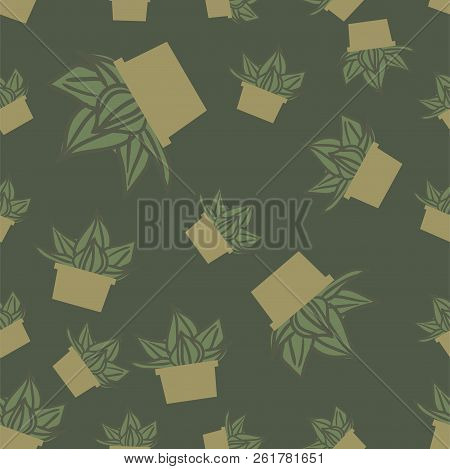 Many Green Cactuses On The Green Background