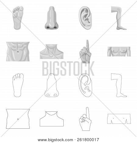 Vector Design Of Human And Part Sign. Collection Of Human And Woman Stock Vector Illustration.
