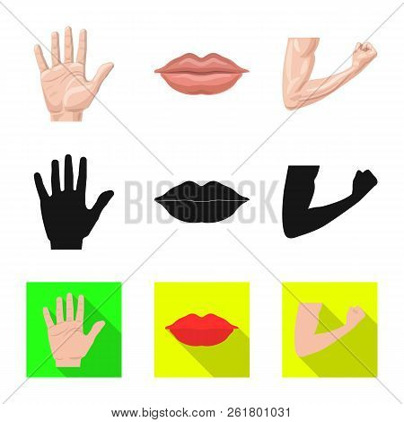 Vector Illustration Of Human And Part Icon. Set Of Human And Woman Stock Vector Illustration.