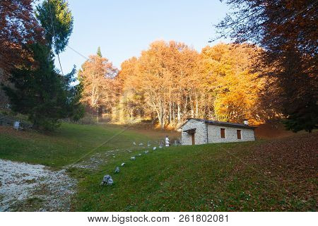 Autumn Mountain Landscape