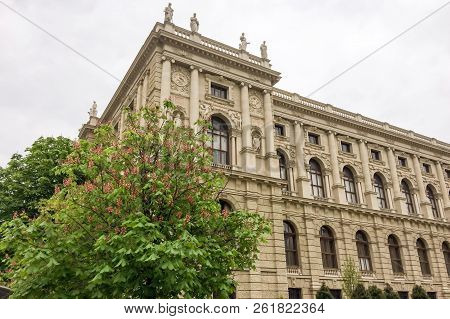 Blooming Chestnut Near A Beautiful Building, Beautiful Building, Cloudy Weather, Young Flowering Tre
