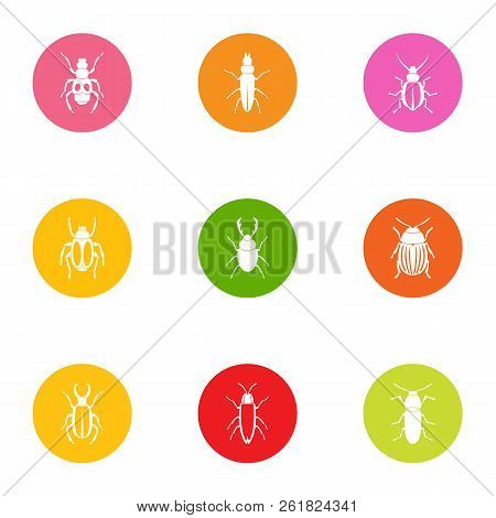 Click Beetle Icons Set. Flat Set Of 9 Click Beetle Vector Icons For Web Isolated On White Background