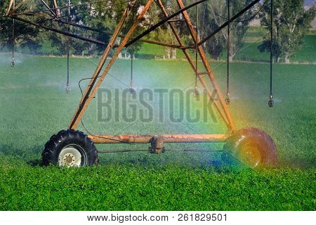 Sprinkers irrigating crops green lush field farming grains water spraying rainbow from mist misty