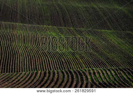 Farm field ploughed dirt and ground furrows ready for planting