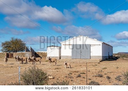 Fraserburg, South Africa, August 7, 2018: Farm Landscape On Road R356 Between Loxton And Fraserburg 