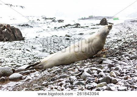 Beautiful Landscape And Scenery In Antarctica