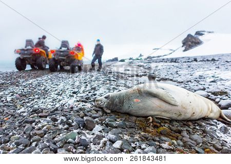 Beautiful Landscape And Scenery In Antarctica