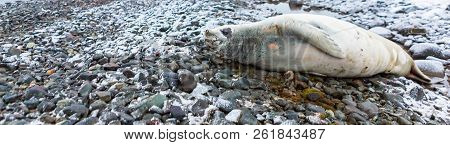 Beautiful Landscape And Scenery In Antarctica