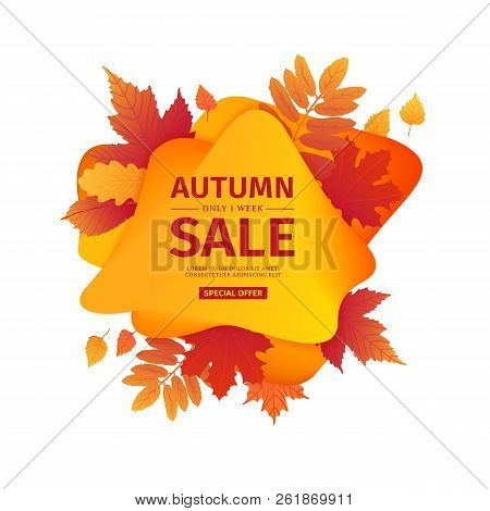 Template Design Discount Banner For Autumn Season. Poster For Special Fall Sale With Orange Flower, 