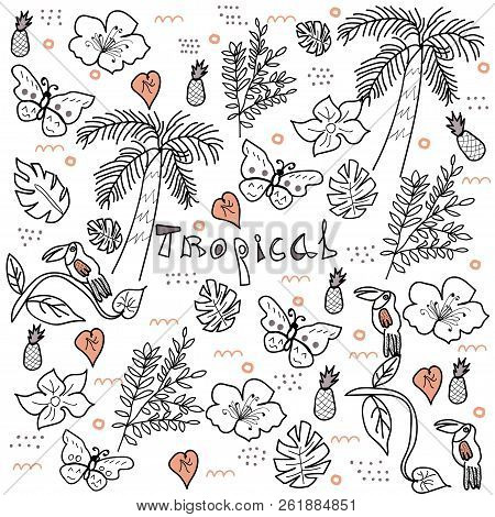 Doodle Style Tropical Theme Vector With Palms, Toucan, Pineapple, Monstera Leaves, Exotic Butterfly.