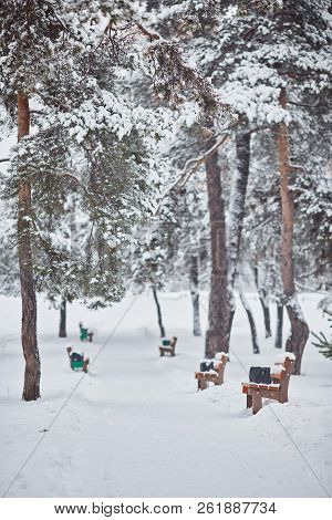 A Snow Covered Bench In A Park