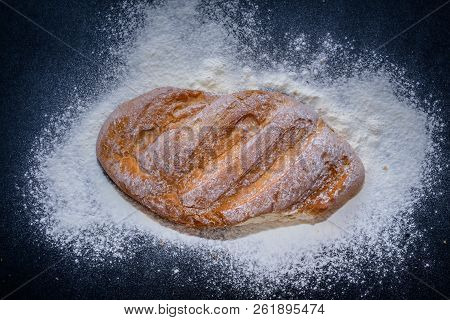 A Loaf Of White Bread On Dark Kraft Paper, Powdered With Flour.