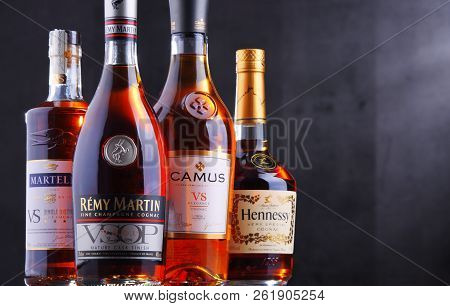 Bottles Of Famous Cognac Brands