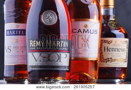 Bottles Of Famous Cognac Brands
