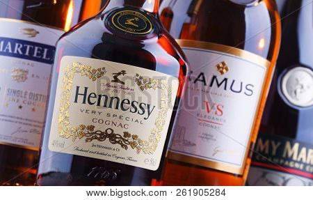 Bottles Of Famous Cognac Brands
