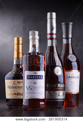 Bottles Of Famous Cognac Brands