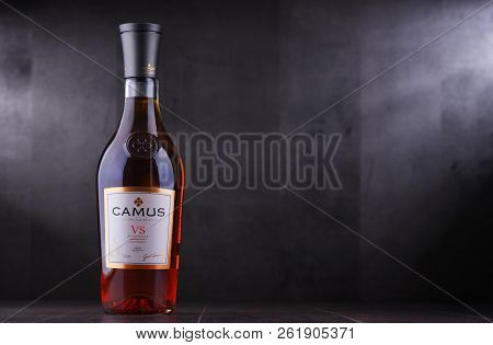 Bottle Of Camus, A Brand Cognac From Cognac, France