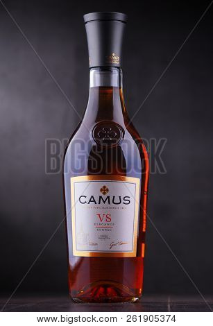 Bottle Of Camus, A Brand Cognac From Cognac, France