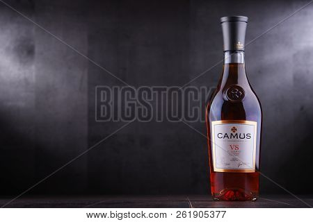 Bottle Of Camus, A Brand Cognac From Cognac, France