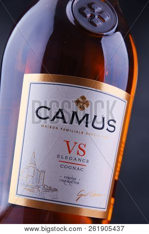 Bottle Of Camus, A Brand Cognac From Cognac, France