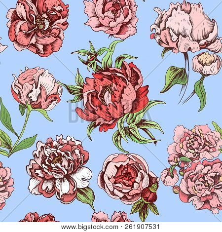 Vector Illustration Sketch - Card With Flowers Chrysanthemum, Peony. Pattern With Flowers. Dahlias, 