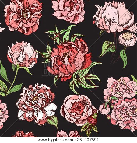 Vector Illustration Sketch - Card With Flowers Chrysanthemum, Peony. Pattern With Flowers. Dahlias, 