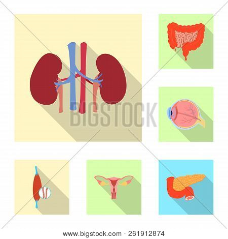 Vector Illustration Of Body And Human Symbol. Collection Of Body And Medical Stock Vector Illustrati