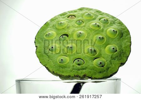 Lotus Seeds With Glass On The White Background