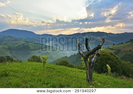Beautiful Alpine Meadow With Green Grass. Sunrise. Landscape On Wild Transylvania Hills. Holbav. Rom