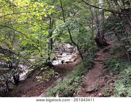 Nature In The Mountains On The Southern Coast Of Crimea. Botkin, Tarakhtashskaya, Miskhorskaya Trail