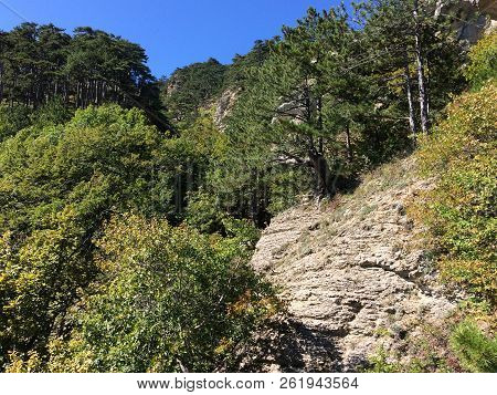 Nature In The Mountains On The Southern Coast Of Crimea. Botkin, Tarakhtashskaya, Miskhorskaya Trail