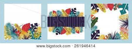 Tropical Bright Background Set With Colorfull Troical Leaves. Herbal Design With Plants For Cards, I