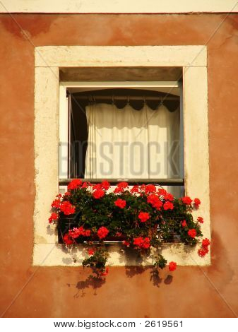 Window_With Blumen