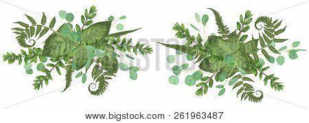 Vector Floral Bouquet Design: Set Green Forest Fern, Branches Boxwood, Buxus. Vector Watercolor Styl